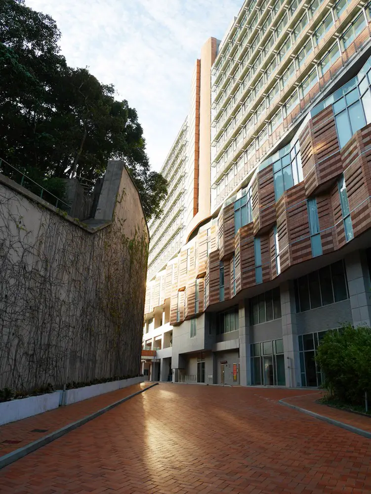 香港大學,香港