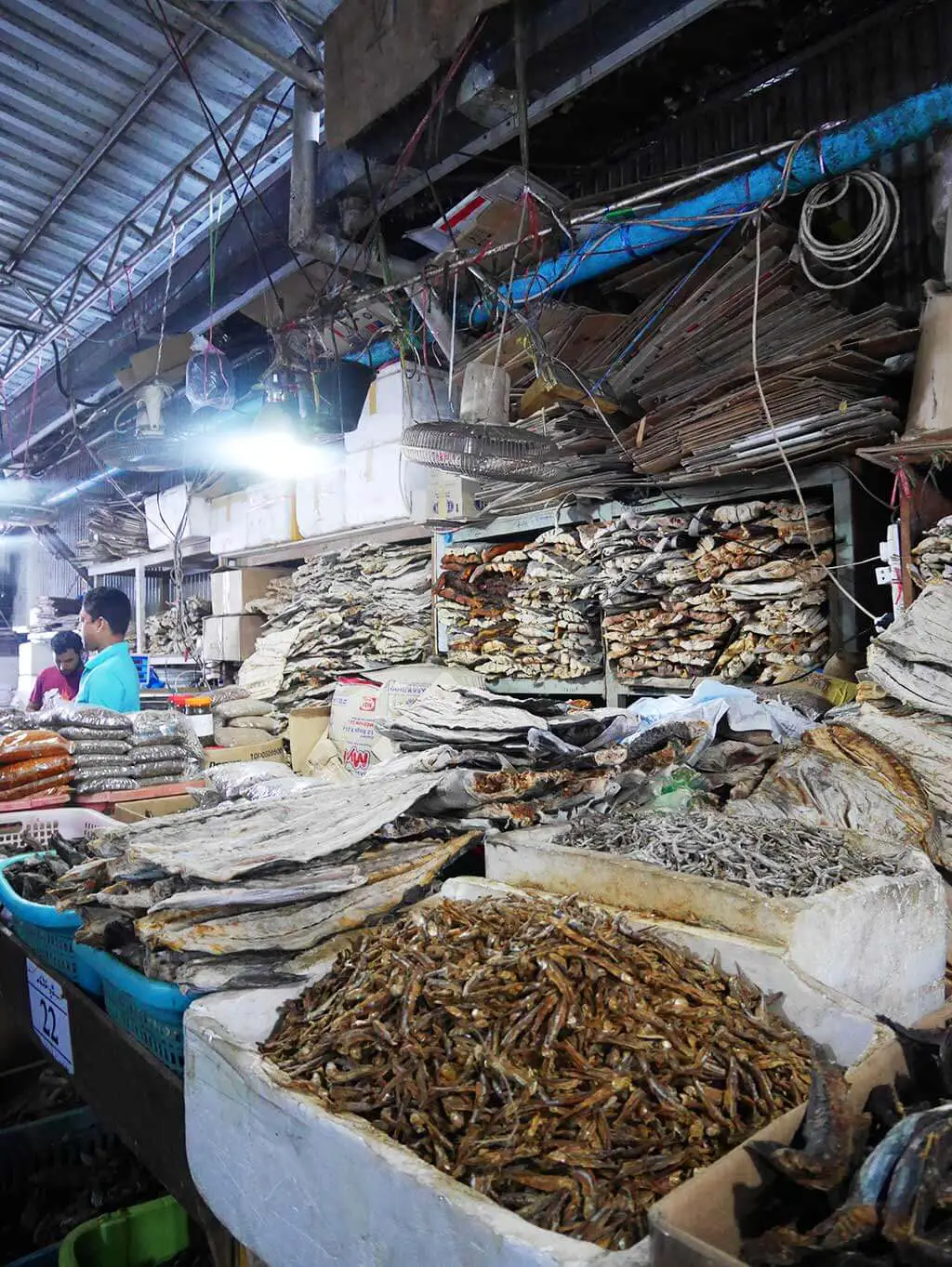 fish goods in travelers market male maldives