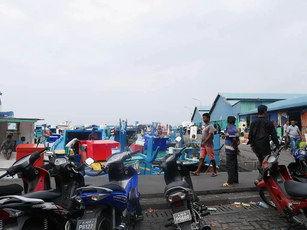 Travelers market Male, Maldives | Laugh Travel Eat