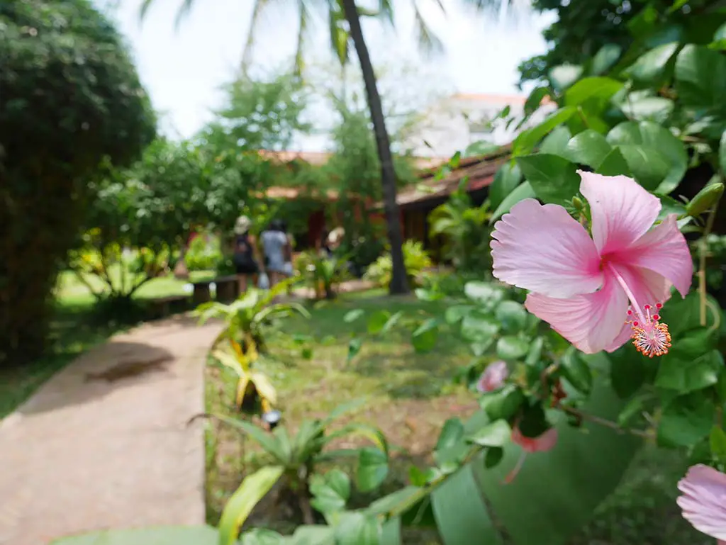 Artisan Angkor, Siem Reap, Cambodia | Laugh Travel Eat