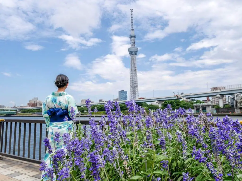 sumida park river side kimono asakusa tokyo