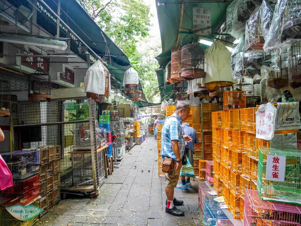 birds market inner street Mongkok Hong Kong - Laugh Travel Eat