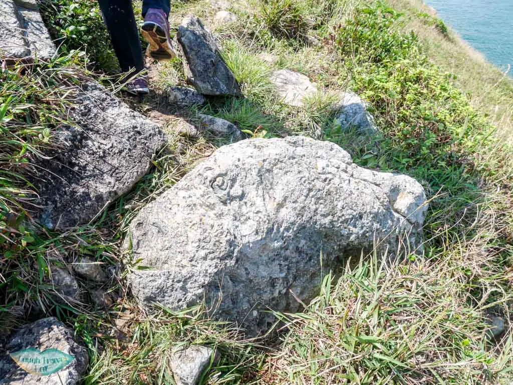 dead fish rock south ninepin island sai kung hong kong - Laugh Travel Eat