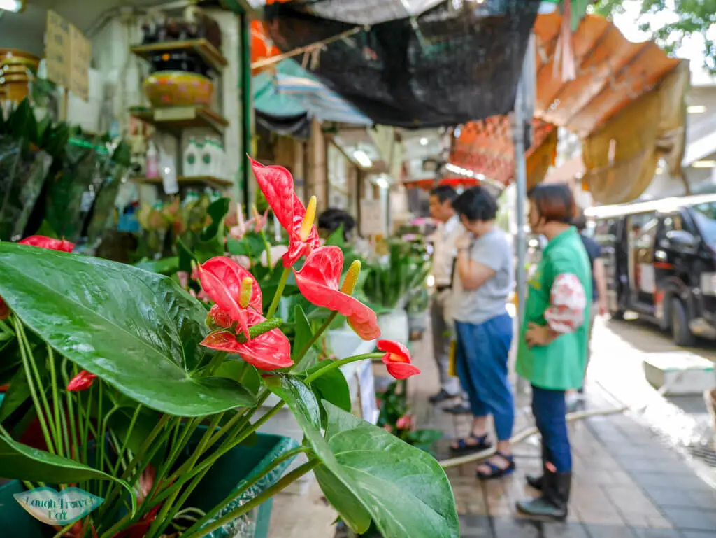 red flower macro flower market Mongkok Hong Kong - Laugh Travel Eat