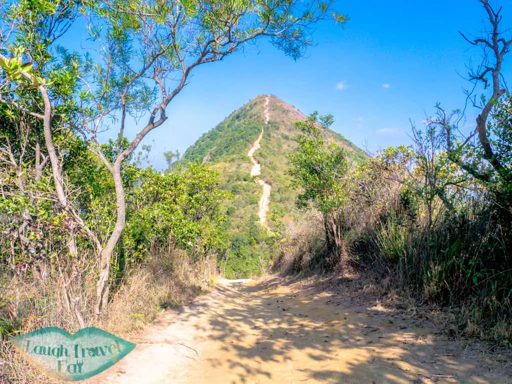 needle hill hong kong- laugh travel eat