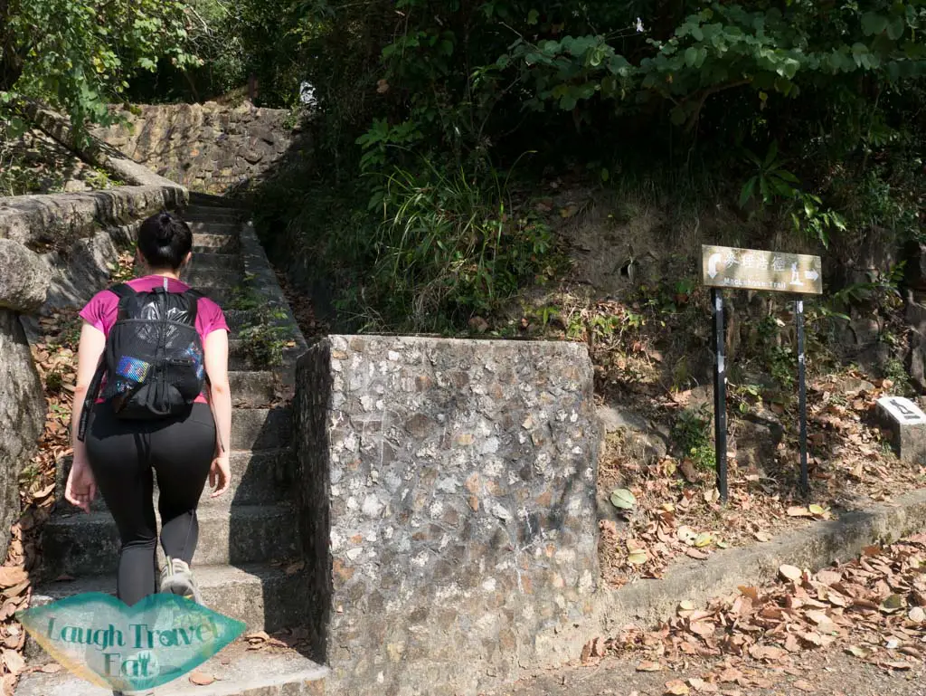 shing mun reservoir to maclehose trail stairs needle hill hong kong- laugh travel eat