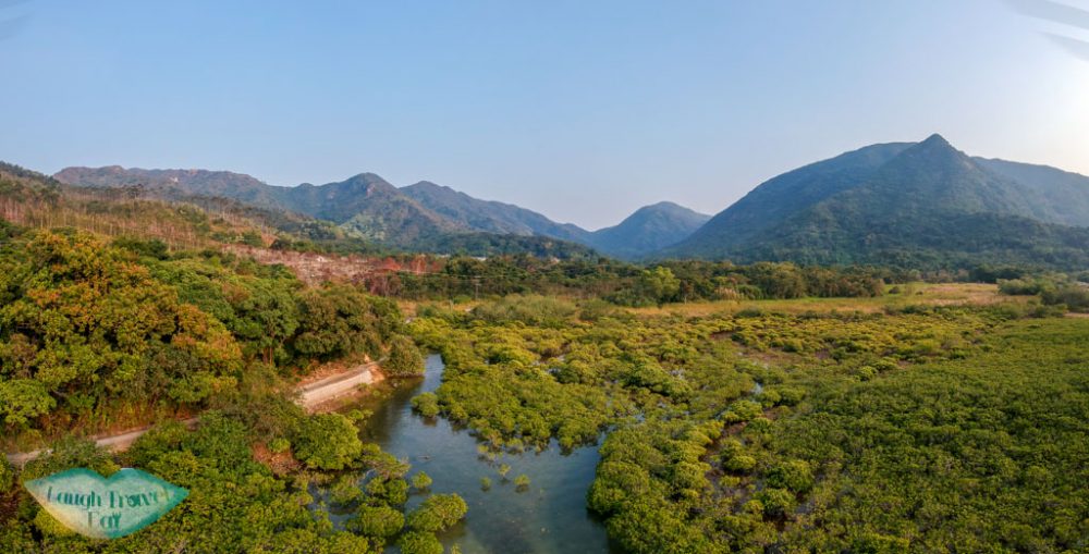 yung shue o mangrove forest sai kung hong kong - laugh travel eat