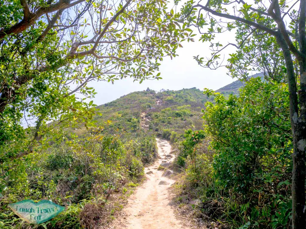 occassionally shady path lung ha wan country trail hong kong- laugh travel eat