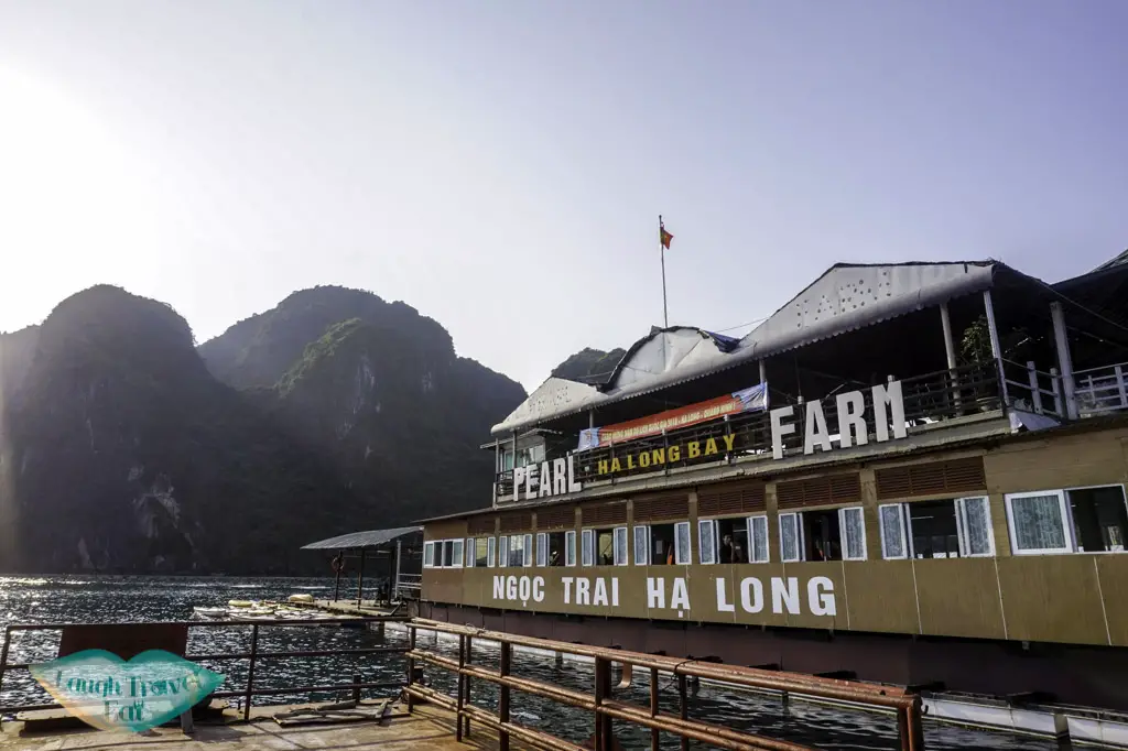peark-farm-visit-paradise-elegance-halong-bay-vietnam-laugh-travel-eat