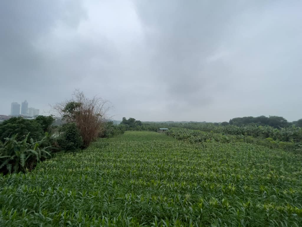 banana island view from long bien bridge hanoi Vietnam - laugh travel eat