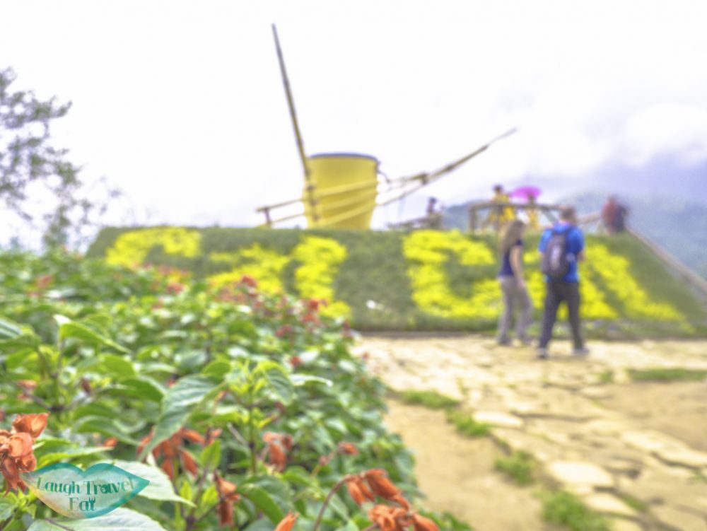 flower-square-of-cat-cat-village-sapa-northern-vietnam-laugh-travel-eat