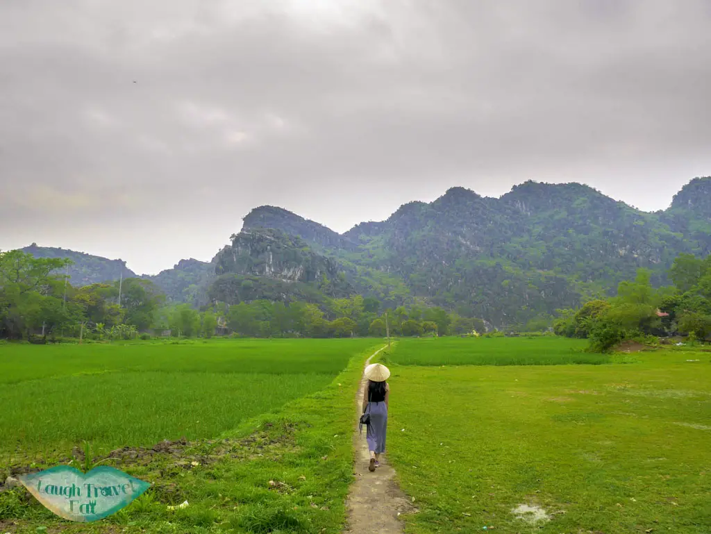 rice-paddies-in-hoa-lu-ninh-binh-vietnam-Laugh-Travel-Eat