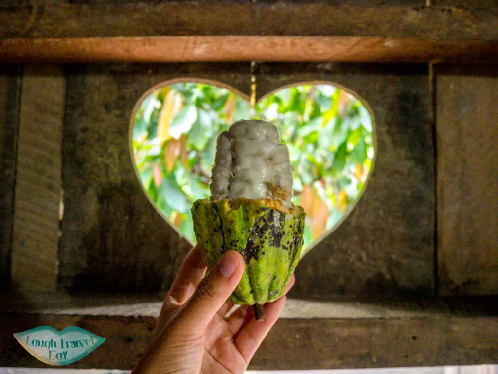 cacao-farm-lak-tented-camp-dak-lak-vietnam-laugh-travel-eat
