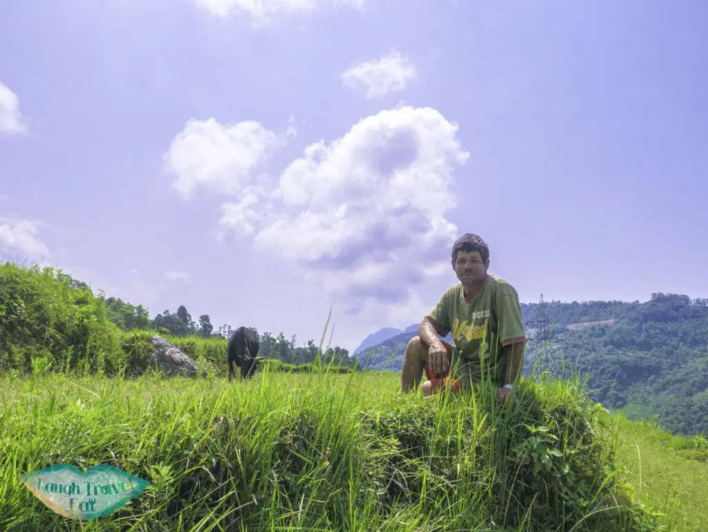 farmer-and-his-ox-Poon-Hill-Trek-Annapurna-Conservation-Area-Nepal-laugh-travel-eat