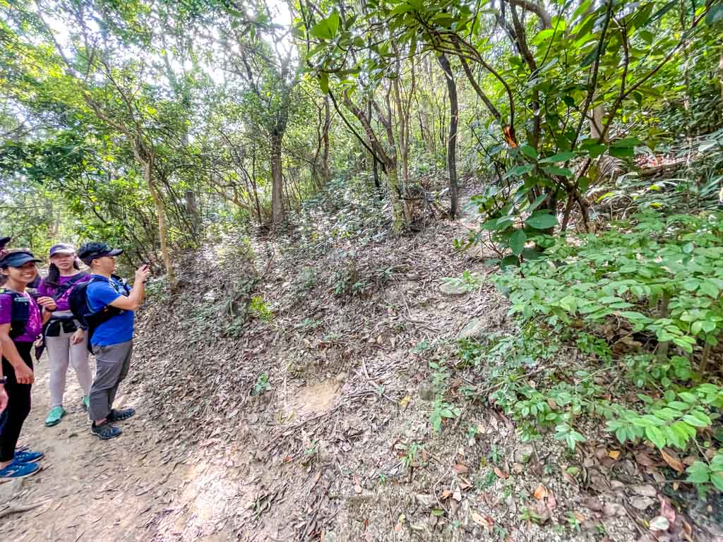 junction for short cut sheung sze wan trail start to high junk peak hong kong - laugh travel eat