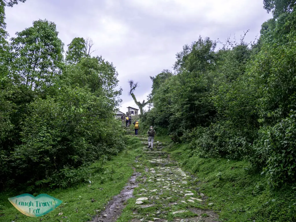 last-stretch-to-Australia-camp-Poon-Hill-Trek-Annapurna-Conservation-Area-Nepal-laugh-travel-eat