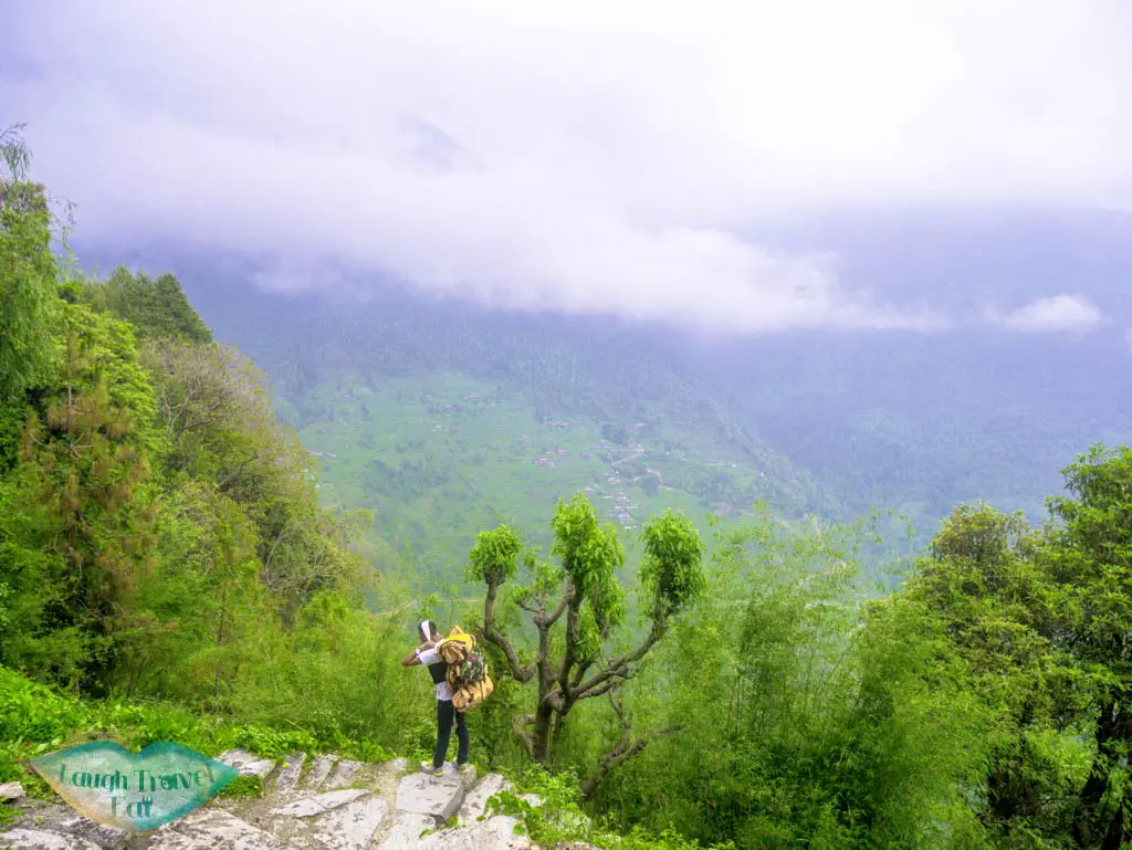 porter-along-the-trail-Poon-Hill-Trek-Annapurna-Conservation-Area-Nepal-laugh-travel-eat