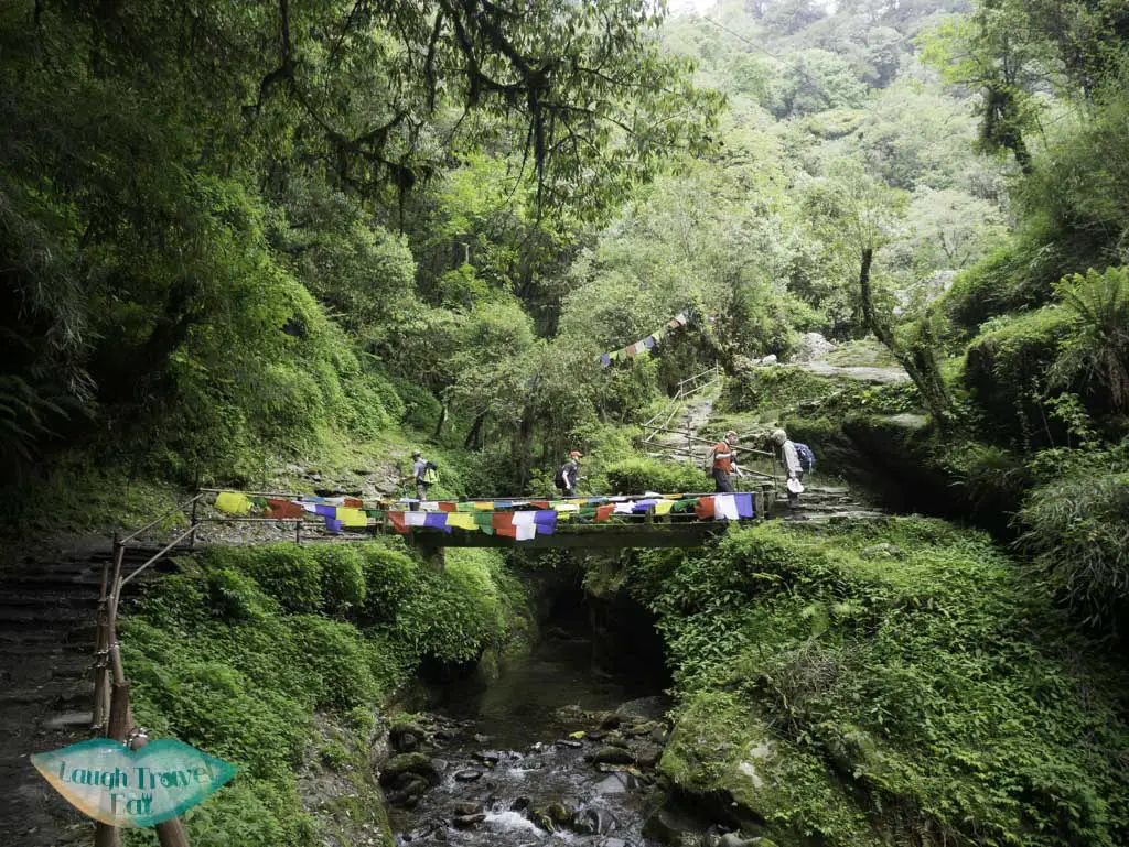 prayer-flags-on-bridge-seen-along-Poon-Hill-Trek-Annapurna-Conservation-Area-Nepal-laugh-travel-eat