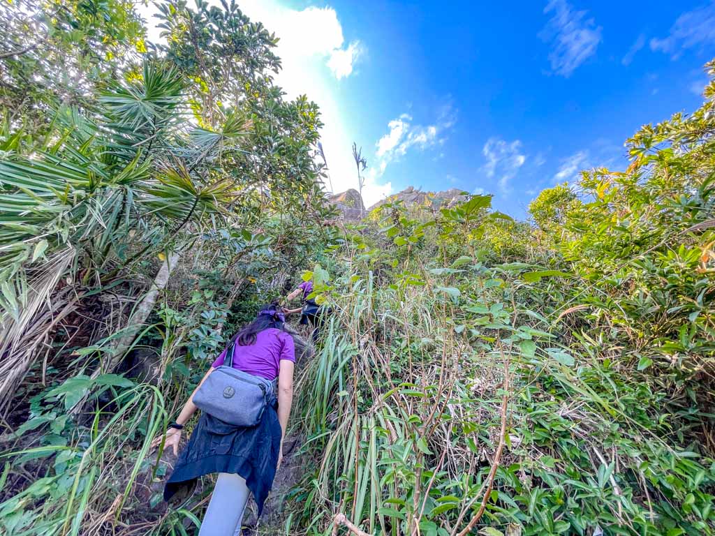 short cut straight to peak sheung sze wan trail start to high junk peak hong kong - laugh travel eat