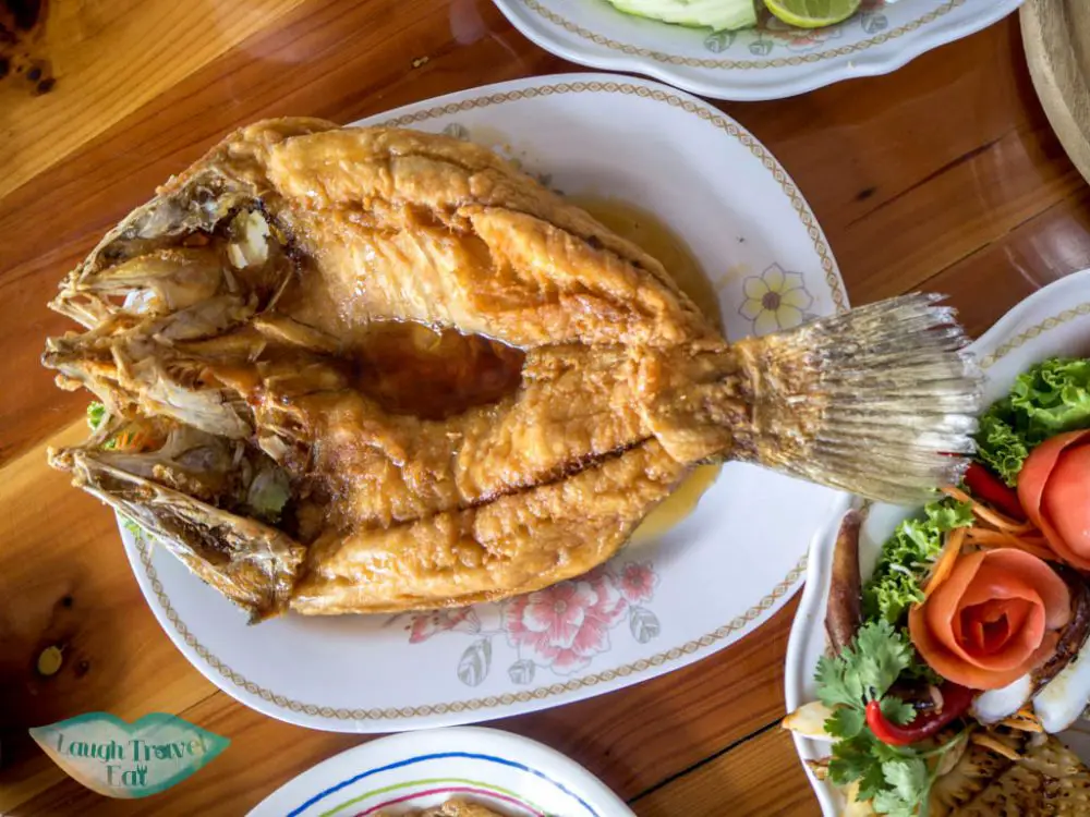 fish-take-me-tour-bangkok-thailand-laugh-travel-eat