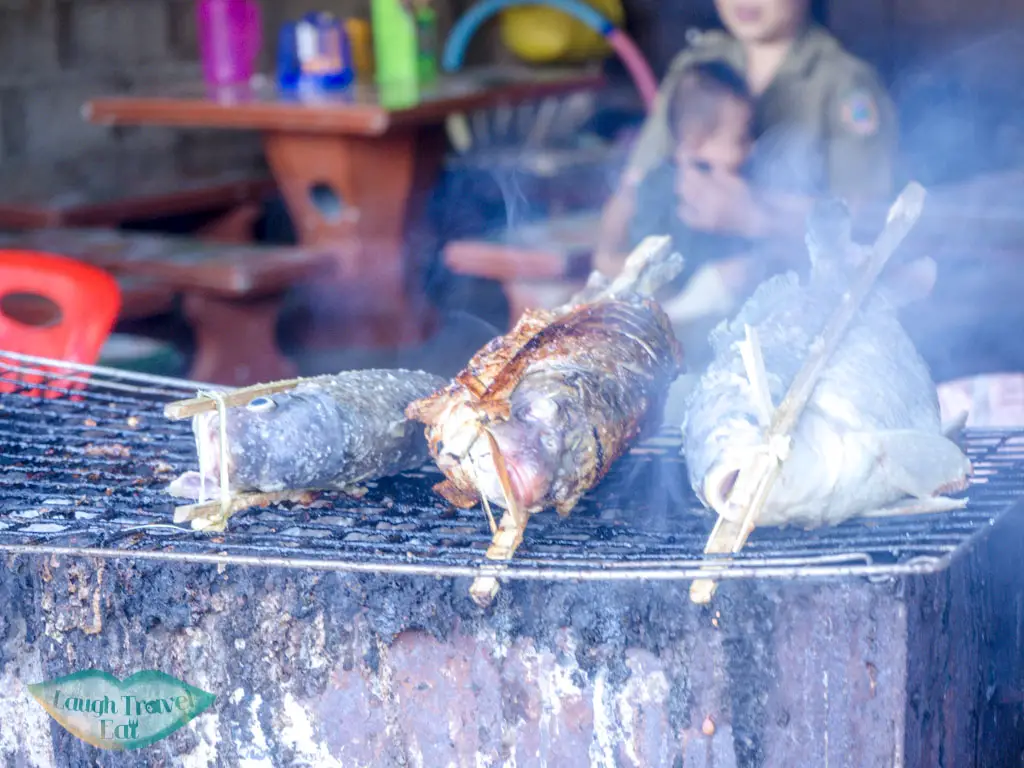 panin grilled fish street food tour backstreet academy luang prabang laos - laugh travel eat