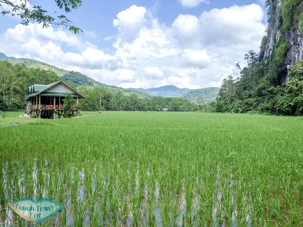 pha-thonk-cave-rice-terrace-nong-khiaw-luang-prabang-laos-laugh-travel-eat