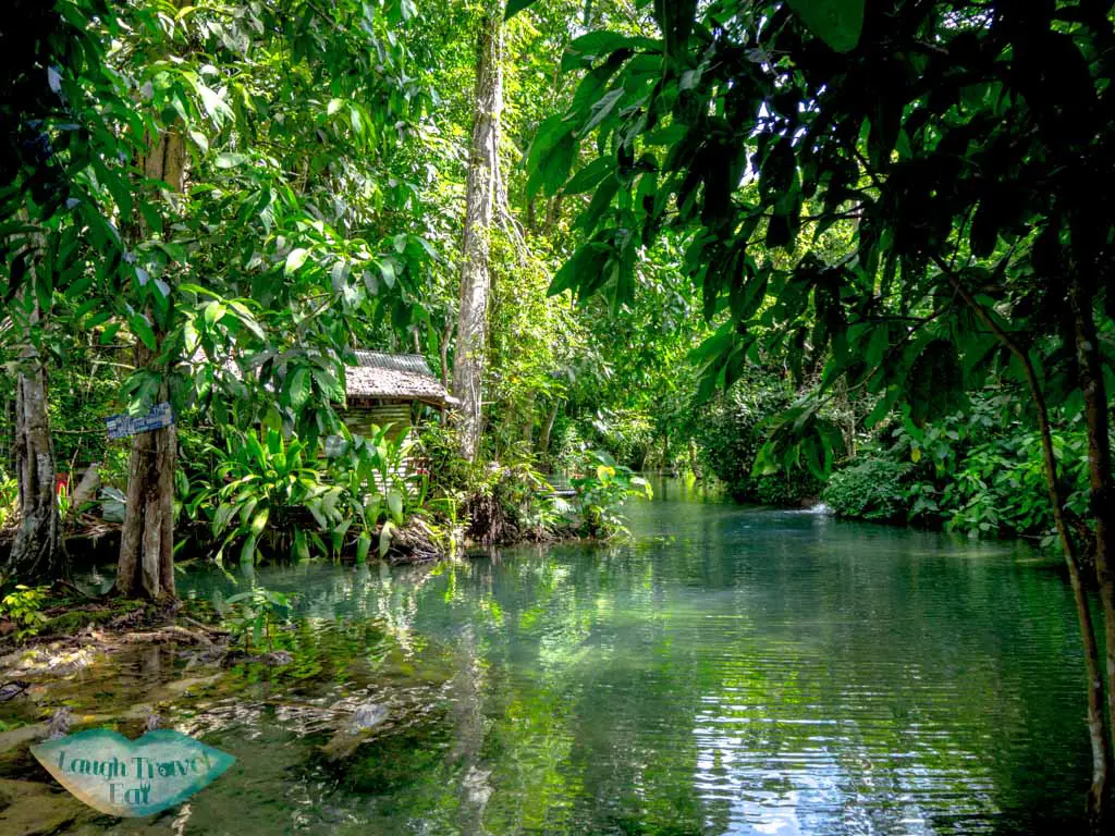 upstream at the top kuang si waterfall luang prabang laos - laugh travel eat