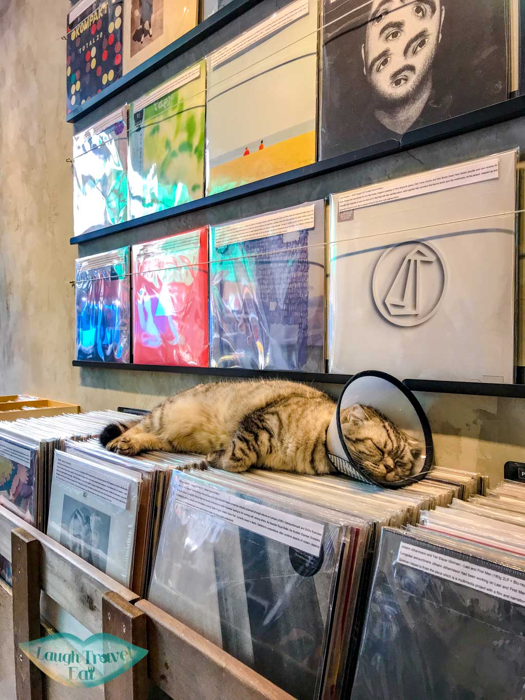 record store tai nam street sham shui po hong kong - laugh travel eat