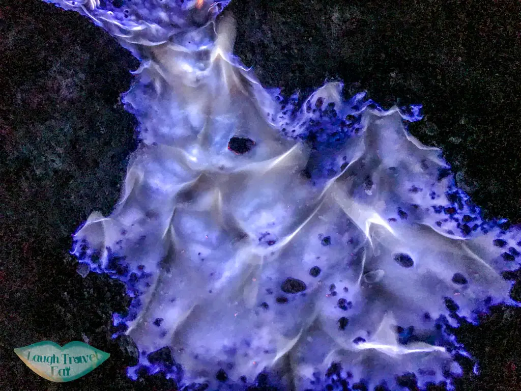 close-up-of-blue-flame-kawah-ijen-java-indonesia-laugh-travel-eat