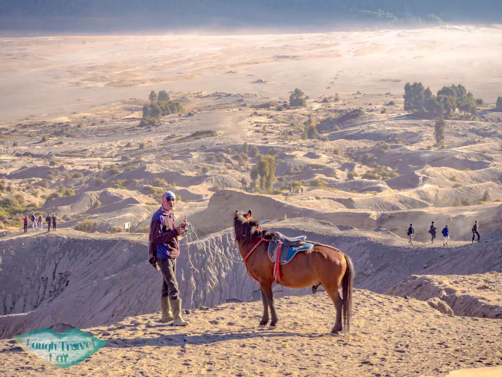 horses-at-mount-bromo-java-indonesia-laugh-travel-eat