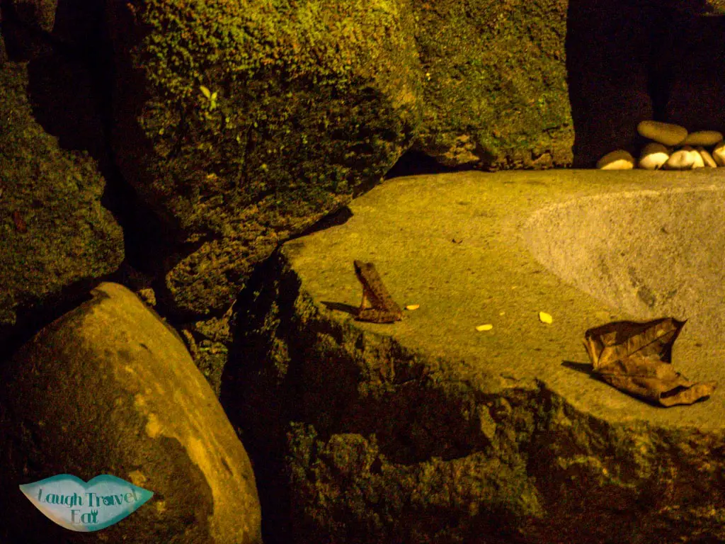 tree-frog-in-bathtub-at-night-sebatu-sanctuary-bali-indonesia-laugh-travel-eat