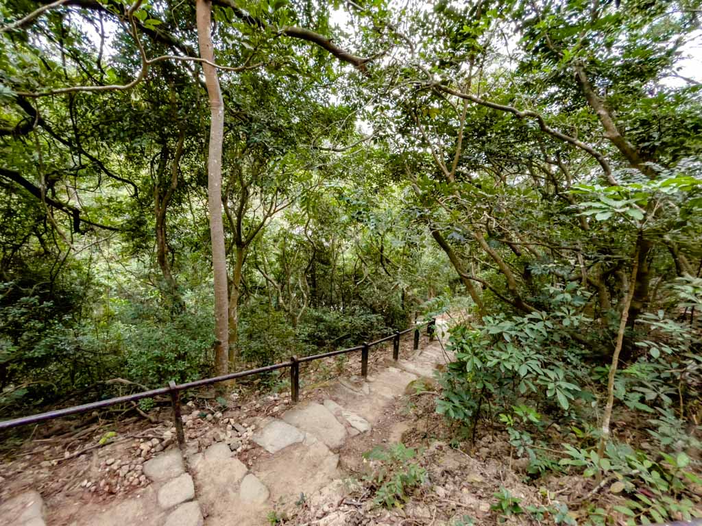 first stretch shatin pass road up lion rock hike hong kong - laugh travel eat