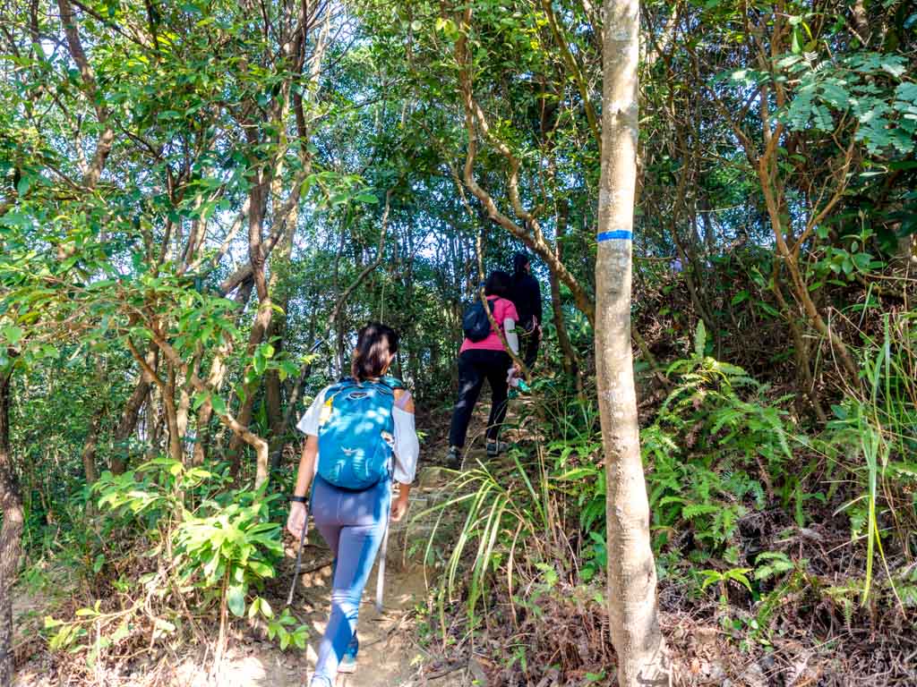 fork to go up west buffalo buffalo hills new territories hong kong - laugh travel eat