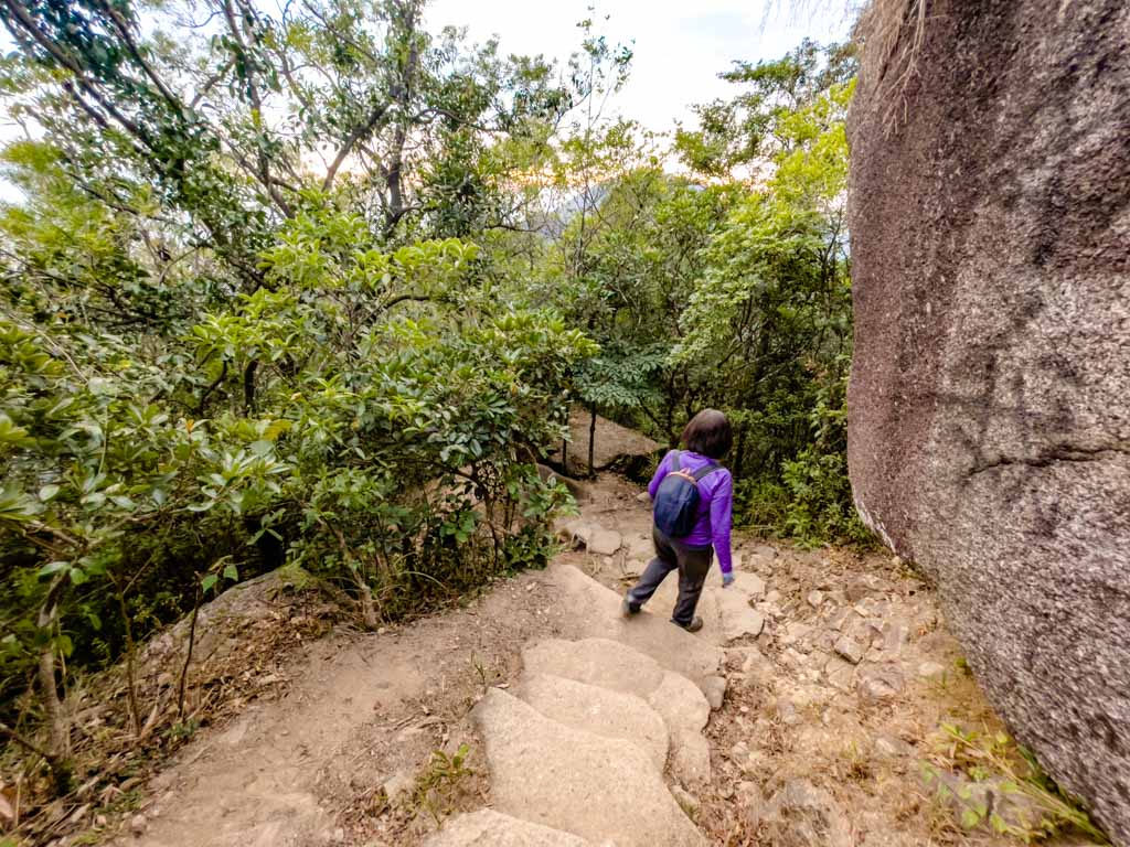 going down from lion head to lion rock park shatin pass road up lion rock hike hong kong - laugh travel eat-7
