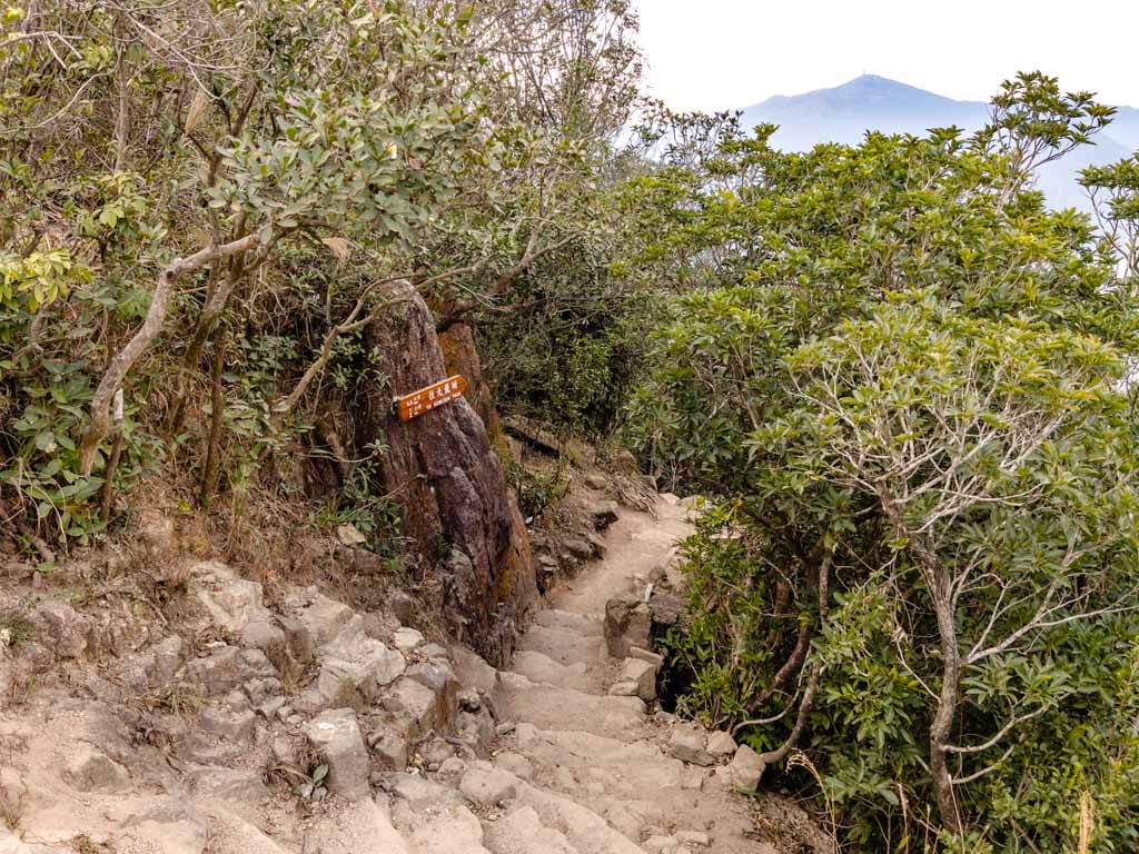 going down from lion head to lion rock park shatin pass road up lion rock hike hong kong - laugh travel eat