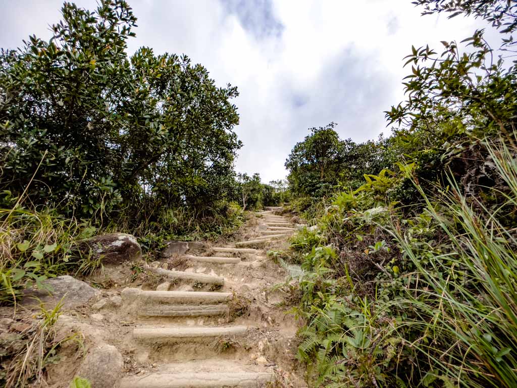 going up to lion rock shatin pass road up lion rock hike hong kong - laugh travel eat