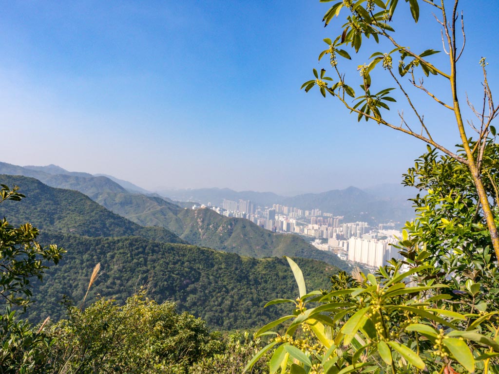 going up west buffalo buffalo hills new territories hong kong - laugh travel eat