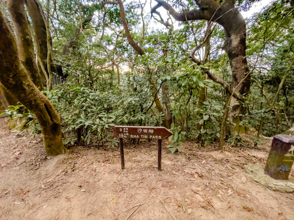 junction and wind rain pavilion to lion rock park shatin pass road up lion rock hike hong kong - laugh travel eat-3