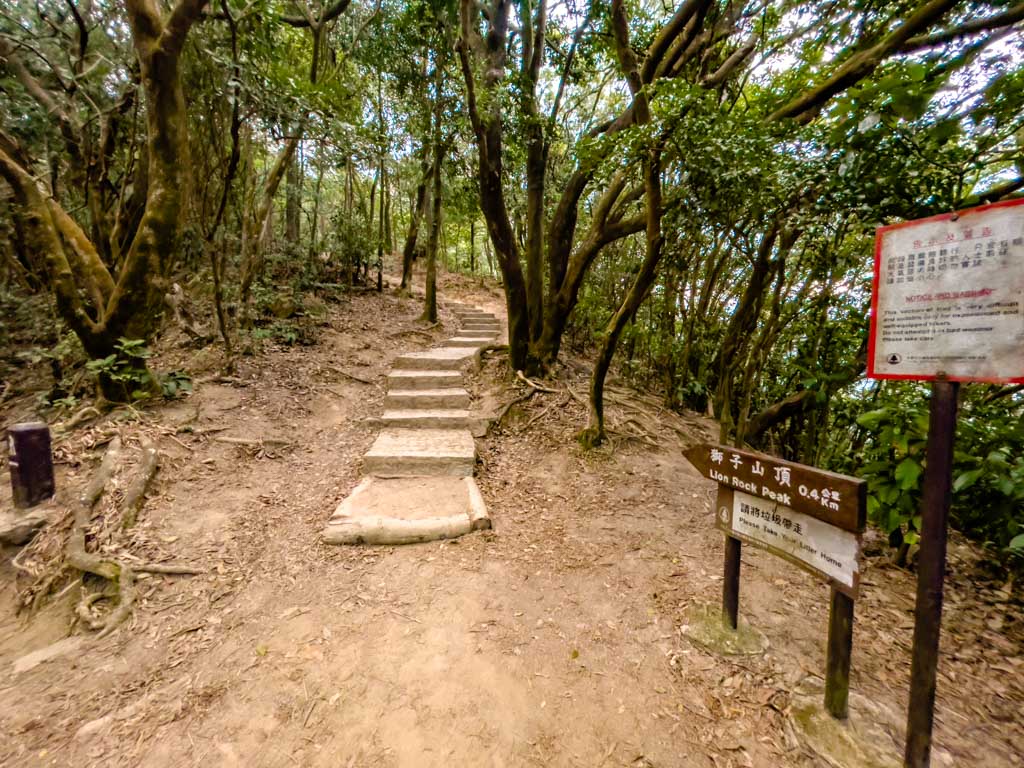 junction and wind rain pavilion to lion rock park shatin pass road up lion rock hike hong kong - laugh travel eat-3