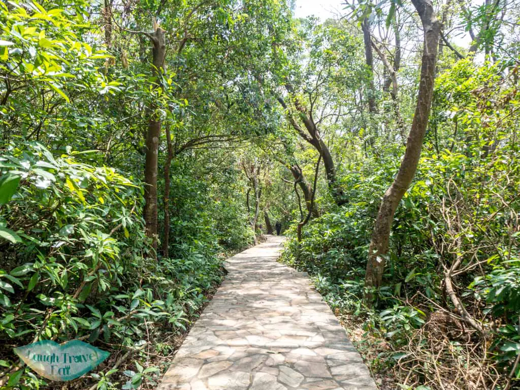 lion-rock-park-concret-path-lion-rock-hike-from-shatin-pass-side-kowloon-hong-kong-laugh-travel-eat