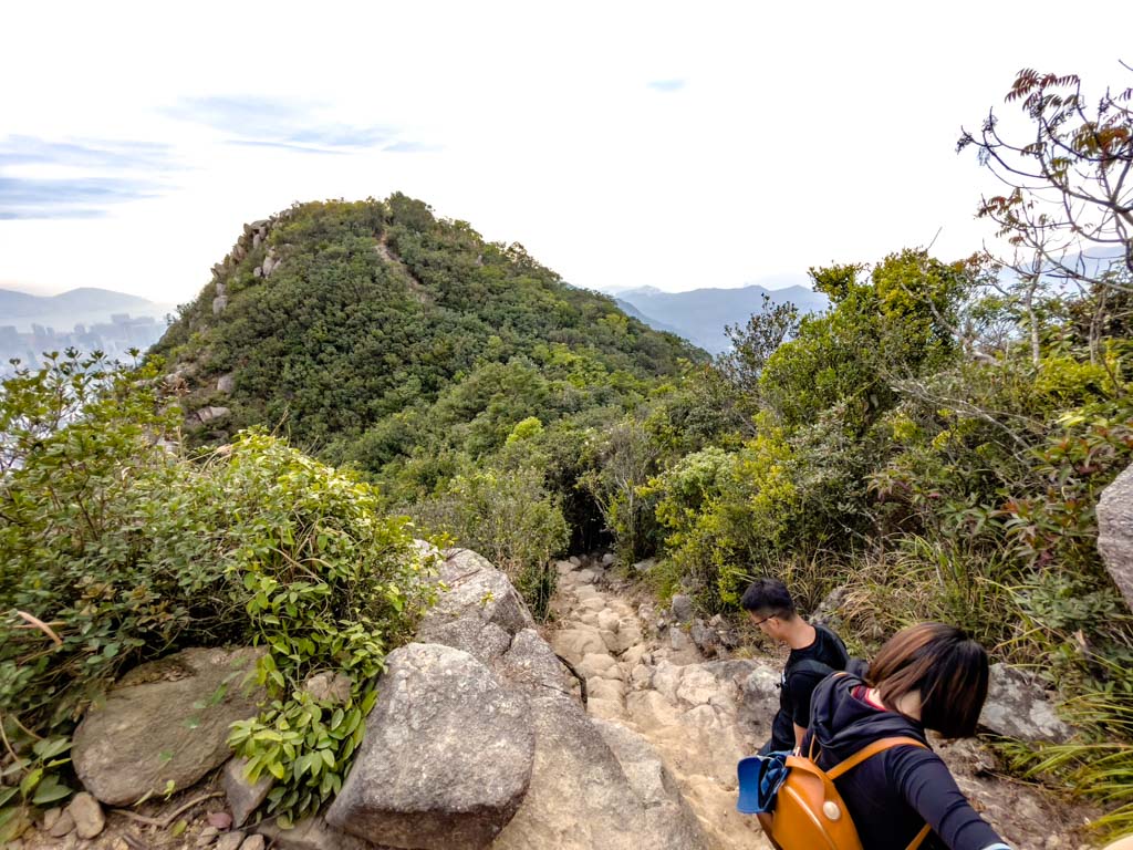 lion rock peak to lion rock head shatin pass road up lion rock hike hong kong - laugh travel eat