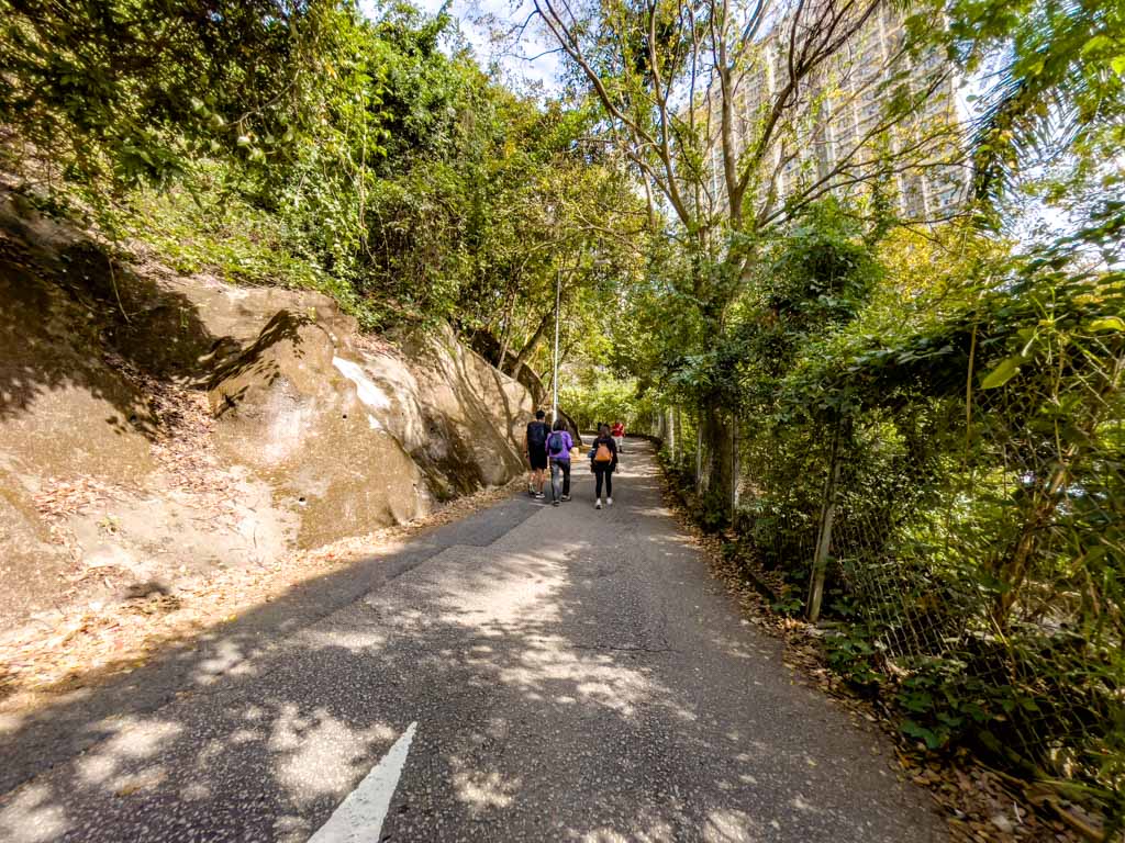 on shatin pass road to lion rock hike hong kong - laugh travel eat-2