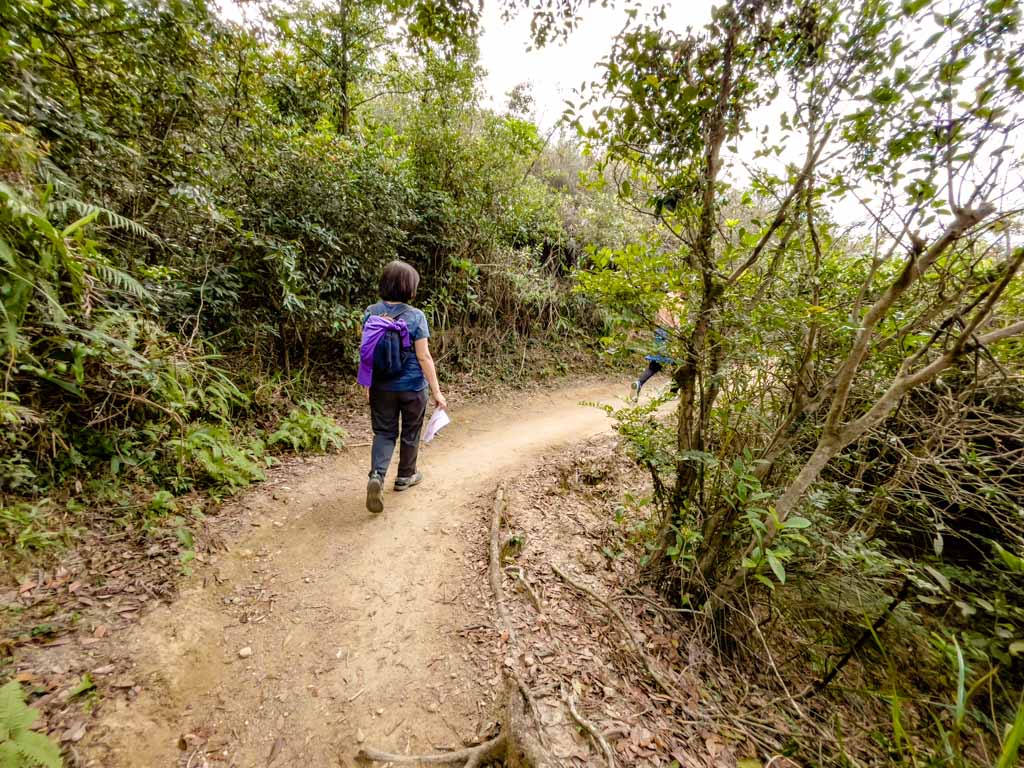 scenic part to big junction shatin pass road up lion rock hike hong kong - laugh travel eat