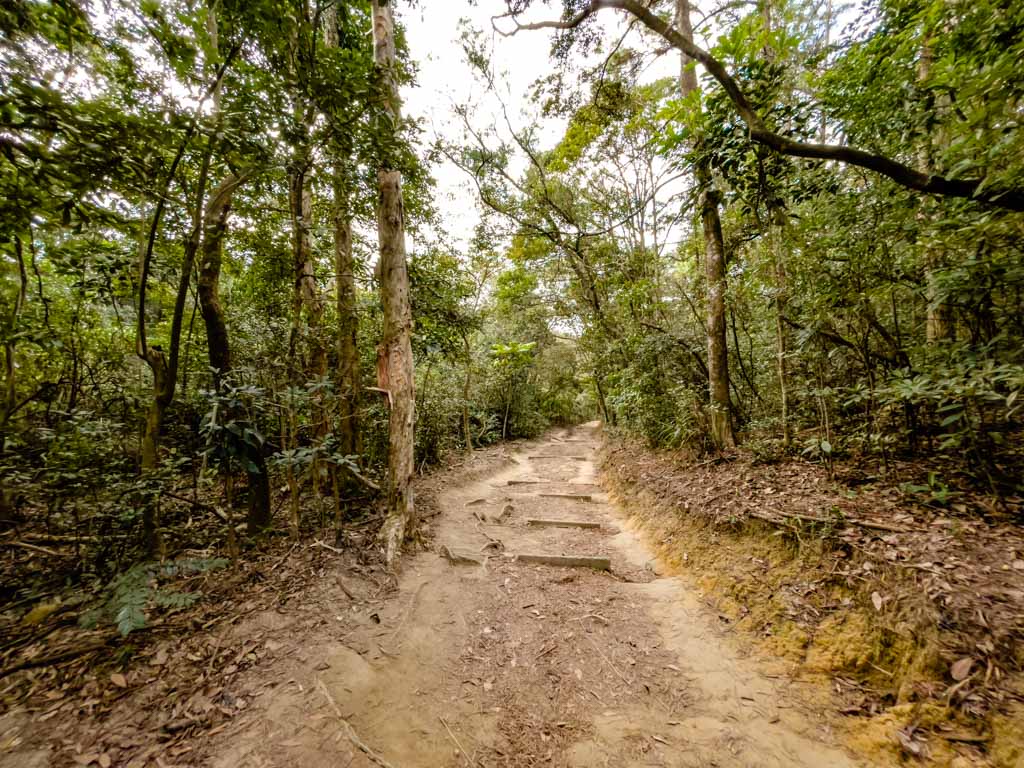 scenic part to big junction shatin pass road up lion rock hike hong kong - laugh travel eat