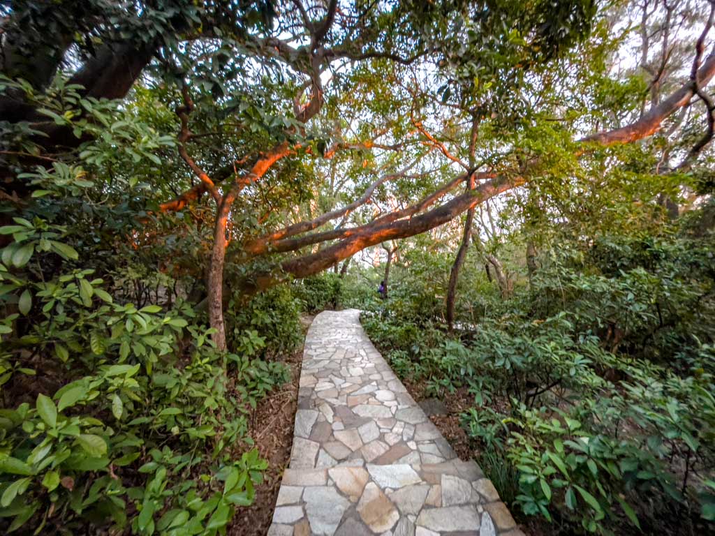 second pavilion lion rock park shatin pass road up lion rock hike hong kong - laugh travel eat