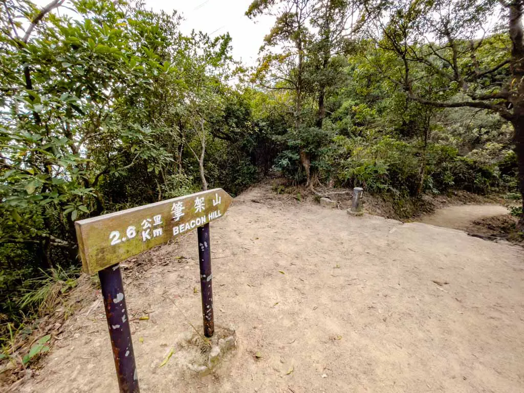 first junction shatin pass road up lion rock hike hong kong - laugh travel eat