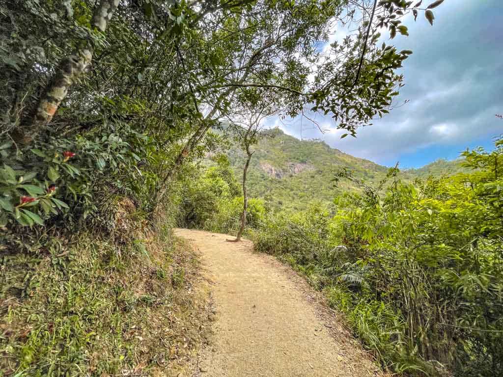 tsz sha ancient trail shui chuen o shatin hong kong - laugh travel eat