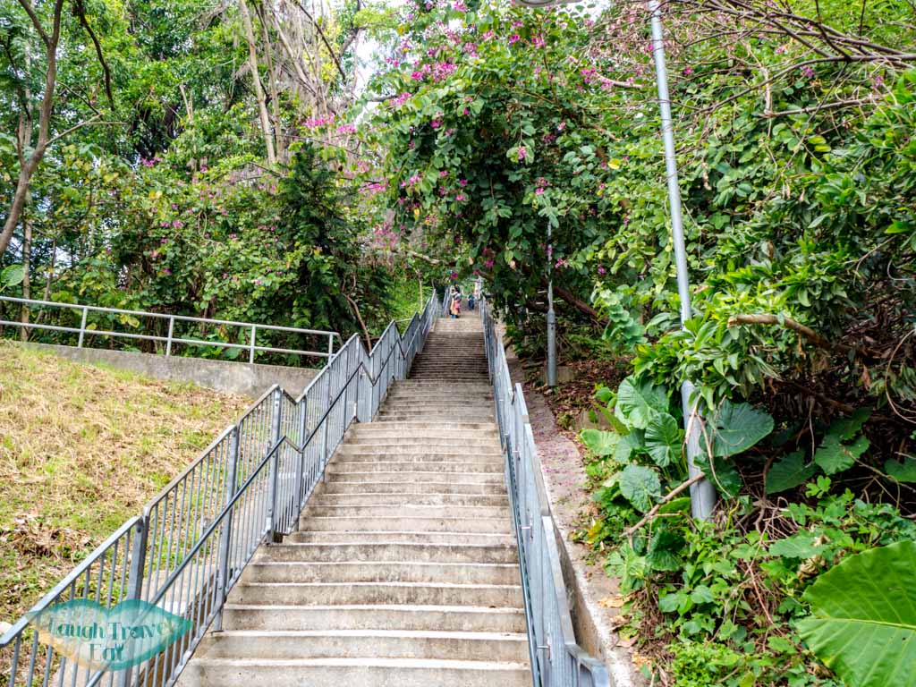 fu-yung-shan-to-wo-yang-shan-hong-kong-laugh-travel-eat-2