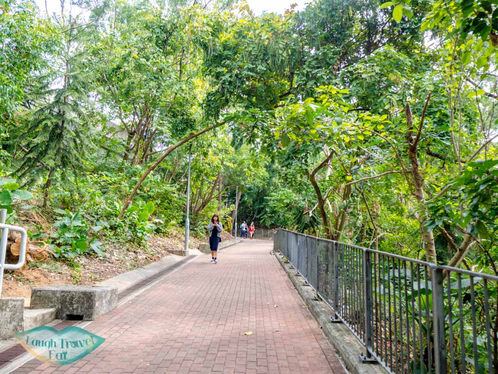 fu-yung-shan-to-wo-yang-shan-hong-kong-laugh-travel-eat