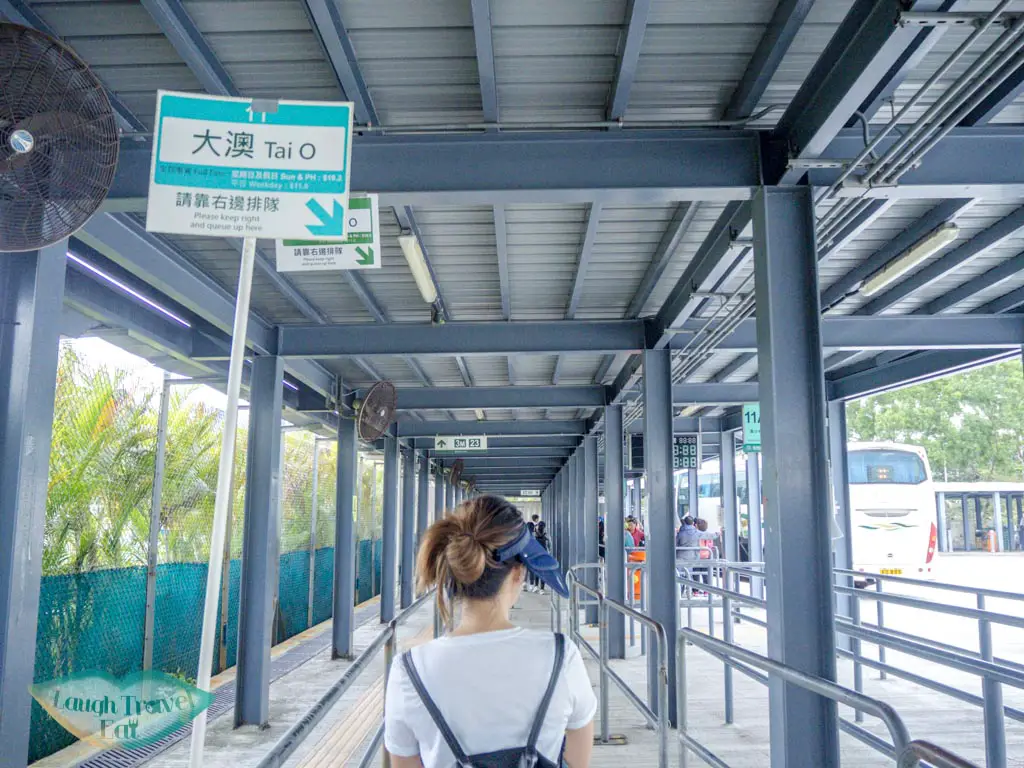 minibus-to-tai-o-tung-chung-lantau-hong-kong-laugh-travel-eat